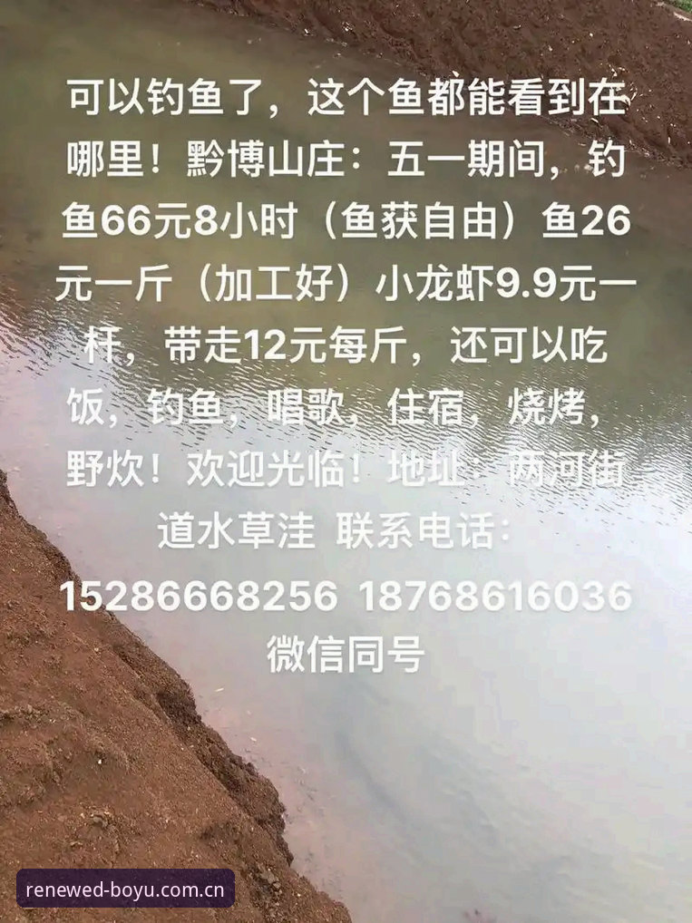 老马亲测：博鱼中国体育官方全新上线中国官网下载不了怎么办，这几个土办法最管用